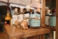 Aosta, Italy. Shop window displaying some souvenirs such as carved wooden gnomes, bottles of herbal liqueur and brandy. Royalty Free Stock Photo