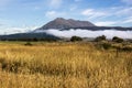 Aotearoa, Land of the long white cloud, New Zealand Royalty Free Stock Photo