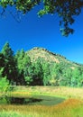 Apache Creek Wilderness, Prescott National Forest, Arizona