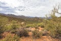 Apache trail scenic drive, Arizona Royalty Free Stock Photo