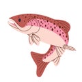 Apache Trout Fish Jumping Pose Aquatic Water Freshwater Drawing Illustration
