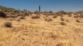 Apache Wash trail of the Phoenix Sonoran Preserve Royalty Free Stock Photo