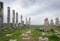 Apamea ancient roman ruins in Syria Royalty Free Stock Photo