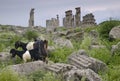 Apamea ancient roman ruins in Syria Royalty Free Stock Photo