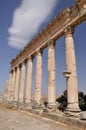 Apamea ruins Royalty Free Stock Photo