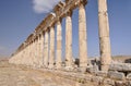 Apamea ruins Royalty Free Stock Photo