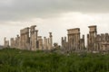 Apamea Syria, ancient ruins with famous colonnade before damage in the war Royalty Free Stock Photo