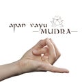 Apan mudra on white Royalty Free Stock Photo