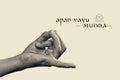 Apan vayu mudra. Royalty Free Stock Photo