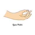 Apana Mudra / Gesture of Life Force. Vector Royalty Free Stock Photo