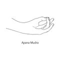 Apana Mudra / Gesture of Life Force. Vector Royalty Free Stock Photo