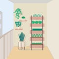 Apartment balcony with flowers and pots, interior. Simple design, minimalism, pastel colors.