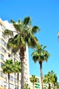 apartment blocks in Benalmadena marina, Spain