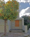 Apartment building front with natural wood door and orange tree on the sidewalk Royalty Free Stock Photo