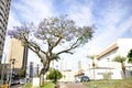 Apartment building, front view, cloudy sky, Brazil, South America, wide angle, bottom-up view Royalty Free Stock Photo