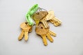 Apartment Doors Keys chain on iSolated White Background