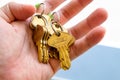 Apartment Doors Keys chain in Male Worker Hand