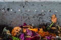 Apartment vermiculture compost with rotting food in a plastic bin with breathing holes