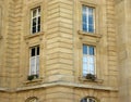 Apartment Windows Royalty Free Stock Photo