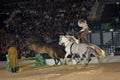 Apassionata horse show
