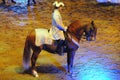 Apassionata - Horse Show Royalty Free Stock Photo