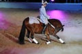 Apassionata - Horse Show
