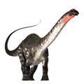 Apatasaurus 01 Royalty Free Stock Photo