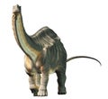 Apatosaurus