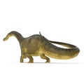 Apatosaurus Dinosaur on white. 3D illustration