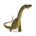 Apatosaurus Dinosaur on white. 3D illustration