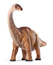 Apatosaurus dinosaurs toy isolated with clipping path.