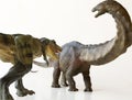 An Apatosaurus Menaced by a Tyrannosaurus Rex Royalty Free Stock Photo