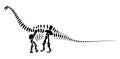 Apatosaurus skeleton . Silhouette dinosaurs . Side view . Vector