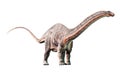 Apatosaurus