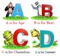 Ape, Bear, Chamelion and Dinasour with Alphabate Royalty Free Stock Photo