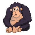 Ape Cartoon - Vector Illustration Royalty Free Stock Photo