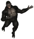 Ape Gorilla YOUR PRODUCT HERE Isolated Royalty Free Stock Photo