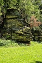 Ape head shaped rock over the green field Royalty Free Stock Photo