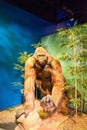 Ape Man Royalty Free Stock Photo