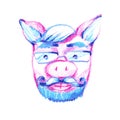 Aper, boar, hog, wild boar. Animal pig in glasses. Scientist family man. Elegant vintage animal. Image for tattoo, t