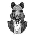 Aper, boar, hog, wild boar, hog, Hipster animal Hand drawn image for tattoo, emblem, badge, logo, patch, t-shirt