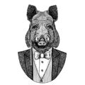 Aper, boar, hog, wild boar, hog, Hipster animal Hand drawn image for tattoo, emblem, badge, logo, patch, t-shirt Royalty Free Stock Photo