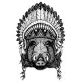 Aper, boar, hog, wild boar Wild animal wearing inidan headdress with feathers. Boho chic style illustration for tattoo Royalty Free Stock Photo