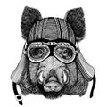 Aper, boar, hog, wild boaraper, boar, hog, wild boar Hand drawn image of animal wearing motorcycle helmet for t-shirt