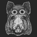 Aper, boar, hog Cool animal wearing aviator, motorcycle, biker helmet. Hand drawn image for t-shirt, tattoo emblem badge