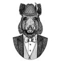 German tirol hat Bavarian national hat Aper, boar, hog, wild boaraper, boar, hog, wild boar Hand drawn image for t-shirt Royalty Free Stock Photo