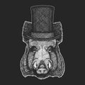 Aper  boar  hog  wild boar Top hat  cylinder. Hipster animal  gentleman. Classic headdress. Print for children t-shirt Royalty Free Stock Photo