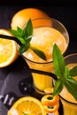 Aperitif with vodka, orange juice and mint. Screwdriver cocktail Royalty Free Stock Photo