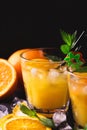 Aperitif with vodka, orange juice and mint. Screwdriver cocktail Royalty Free Stock Photo