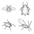 Aphid Animal Vector Illustration Hand Drawn Cartoon Art Royalty Free Stock Photo